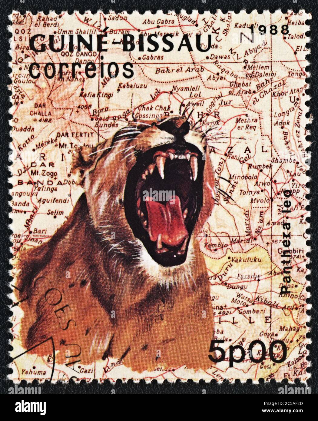 Timbre-poste. Panthera leo et la carte de l'Afrique, Guinée-Bissau , 1988 Banque D'Images