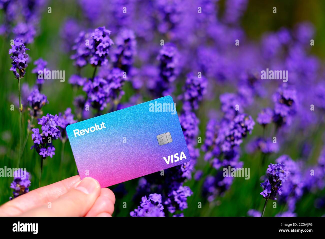 Stone / UK - juin 30 2020: Nouvelle carte de banque Revolut tenir à la main avec les fleurs de lavande à l'arrière-plan. Pas un montage, une vraie photo. Banque D'Images
