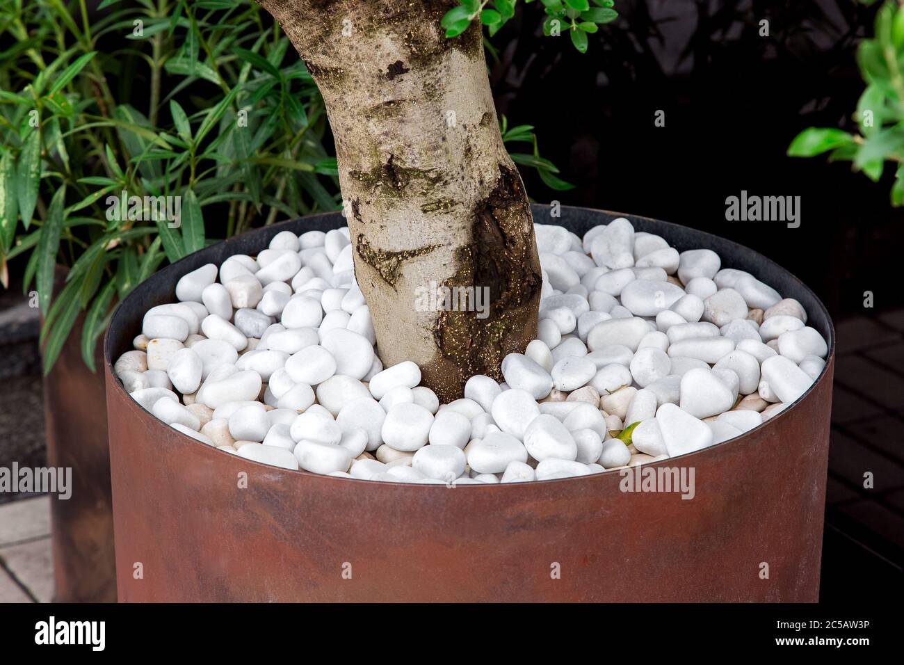 fer rond pot à fleurs pour bois décoratif avec des cailloux de paillage de  pierre blanche, gros plan Photo Stock - Alamy