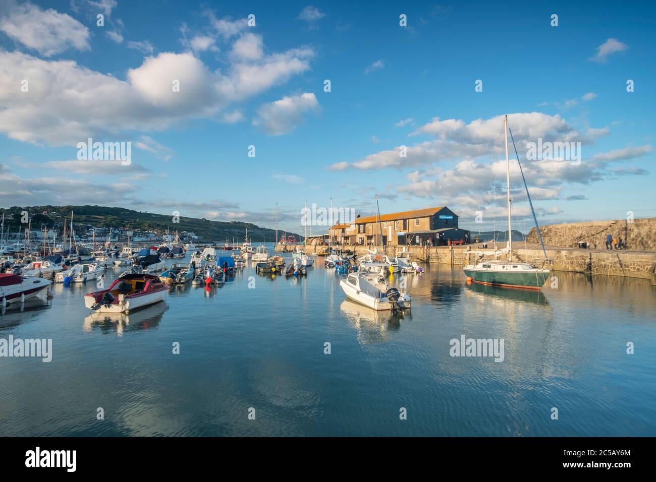 Lumière du soir sur le port de Lyme Regis Banque D'Images