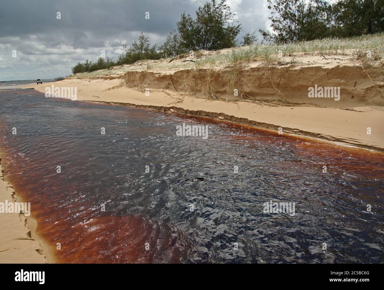 Tea Tree Creek, Fraser Island Banque D'Images