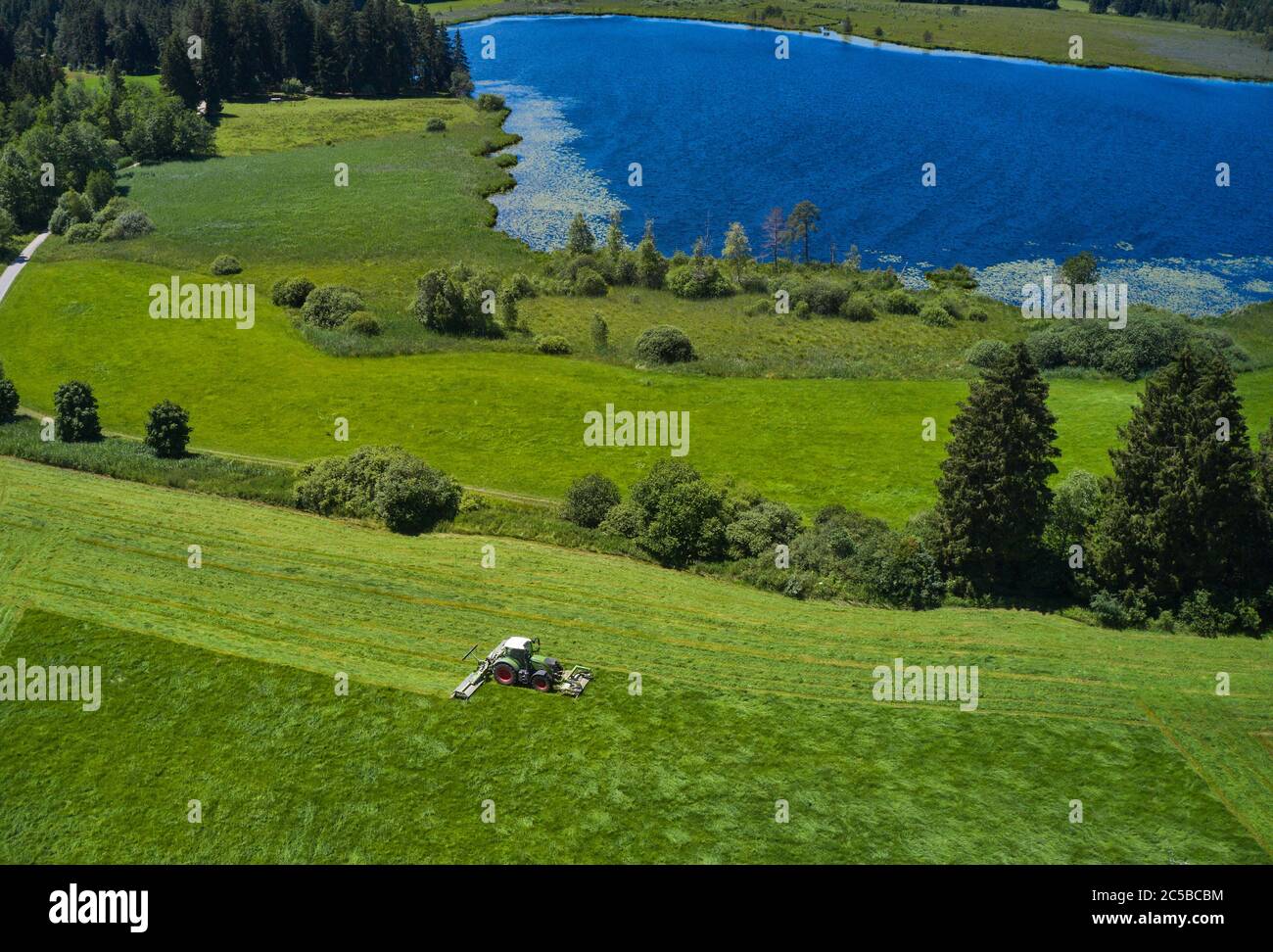 Aitrang, Allemagne, 01 juillet 2020. Les agriculteurs cultivent leurs champs avec des tracteurs et des tondeuses rotatives Fendt près du lac ELBSEE, une destination pour la randonnée, la natation. Image de drone aérien Mavic 2 pro. © Peter Schatz / photos stock Alay Banque D'Images