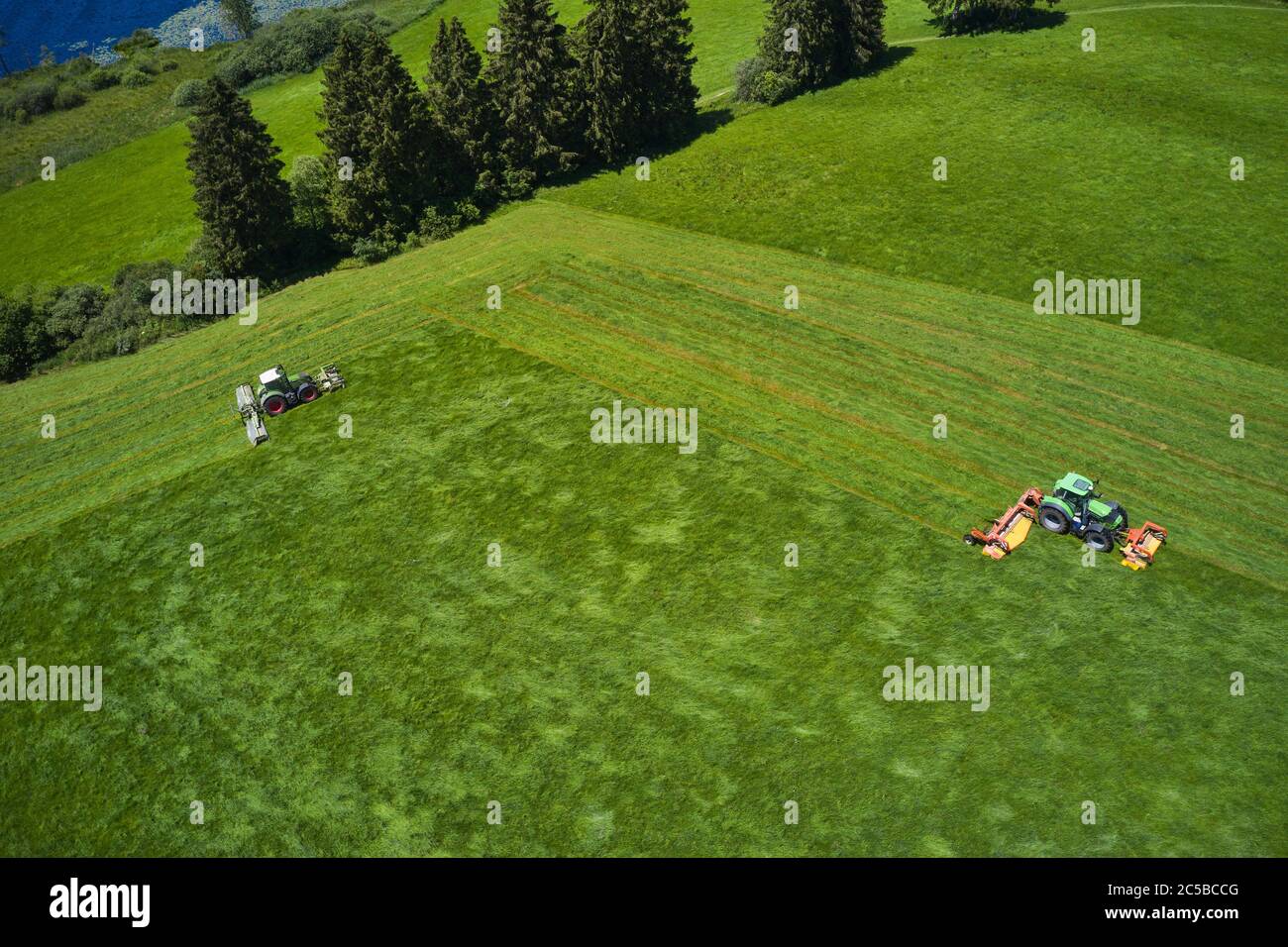 Aitrang, Allemagne, 01 juillet 2020. Les agriculteurs cultivent leurs champs avec des tracteurs et des tondeuses rotatives Fendt près du lac ELBSEE, une destination pour la randonnée, la natation. Image de drone aérien Mavic 2 pro. © Peter Schatz / photos stock Alay Banque D'Images