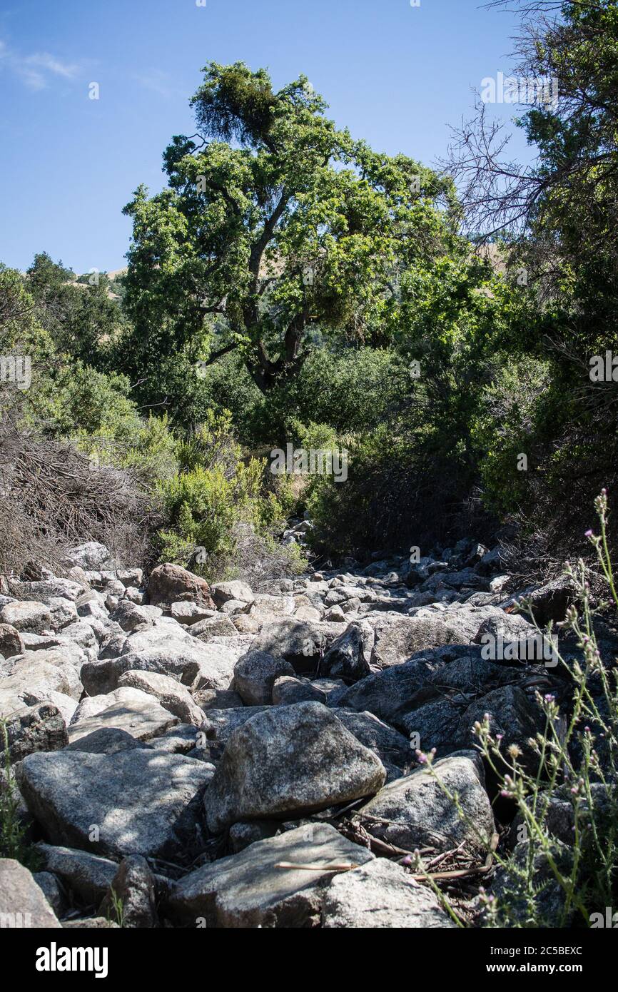 Ruisseau rocheux sec dans la chaîne Diablo alimentant le lac Grant le jour chaud de l'été Banque D'Images