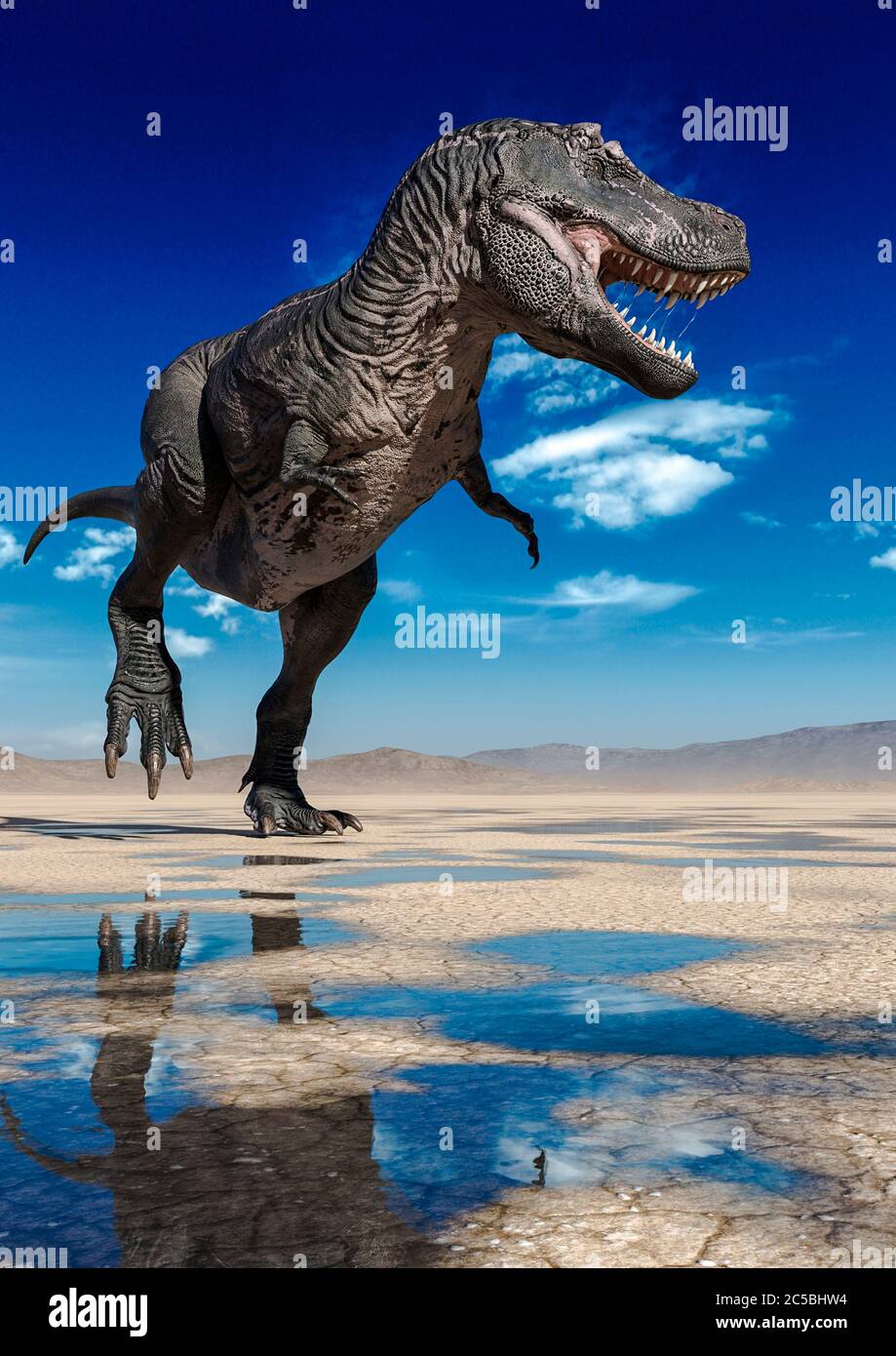 tyrannosaurus rex est à la recherche de nourriture dans le désert,  illustration 3d Photo Stock - Alamy