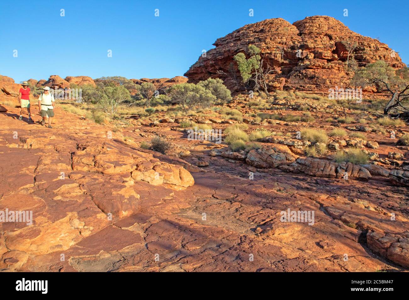 Randonnée sur la promenade du plateau de Kings Canyon Banque D'Images