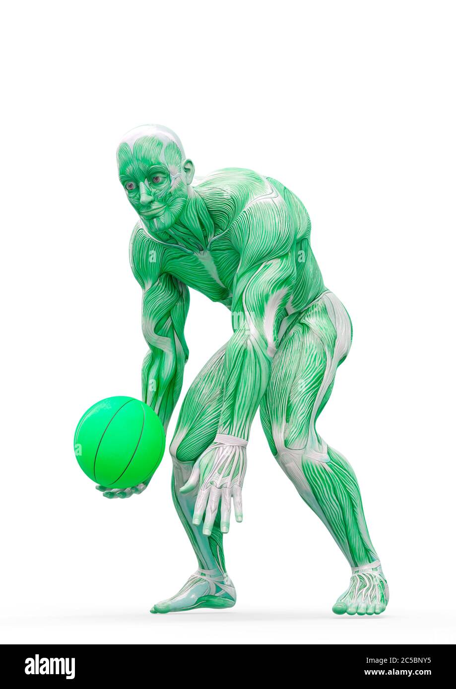 muscleman anatomie héroïque corps jouant au basket-ball sur fond blanc, illustration 3d Banque D'Images