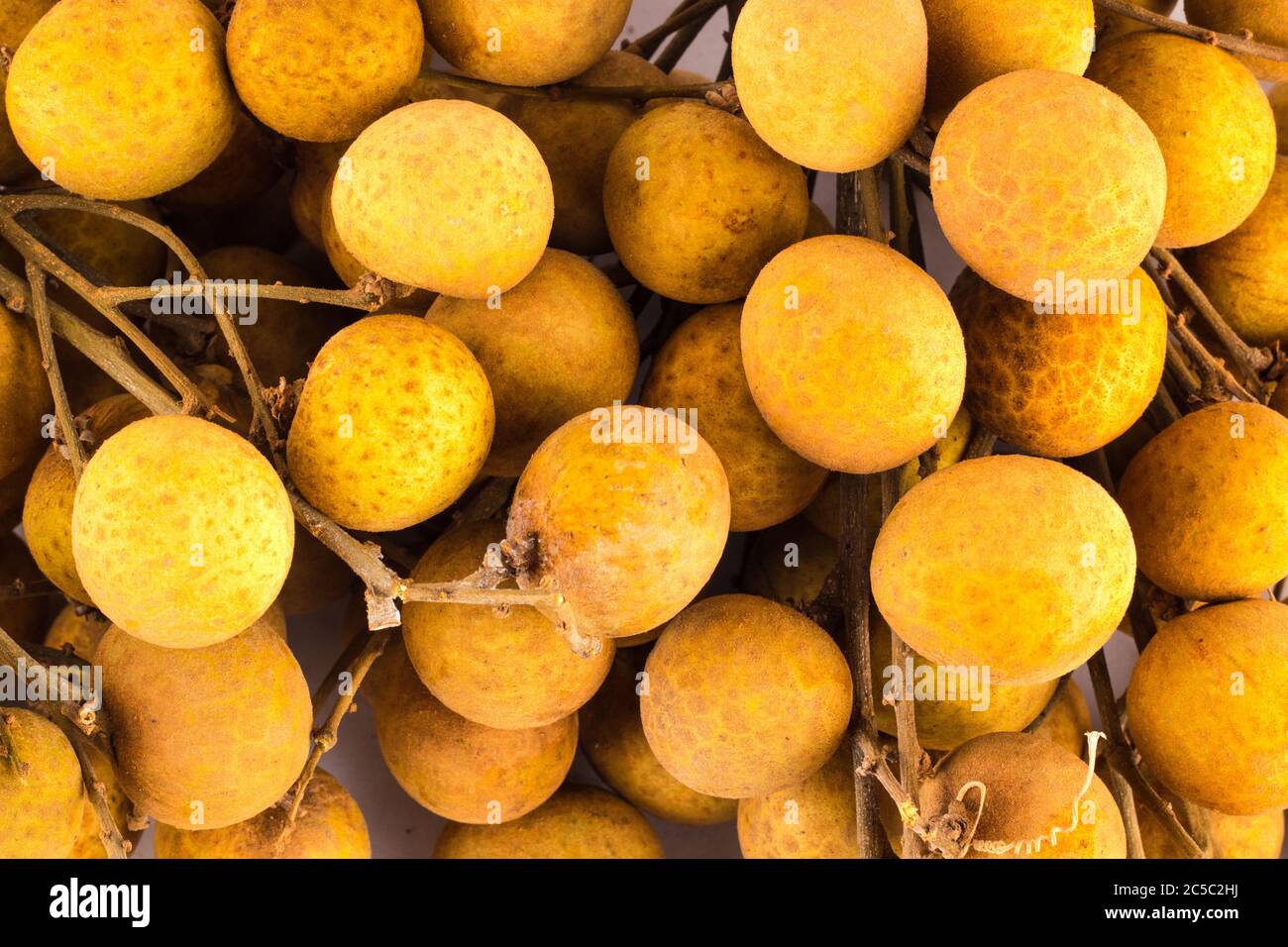 Gros plan Longan frais ou Dmocarpus longane, Thaïlande fruits tropicaux sur fond blanc fruits agriculture alimentaire isolée Banque D'Images