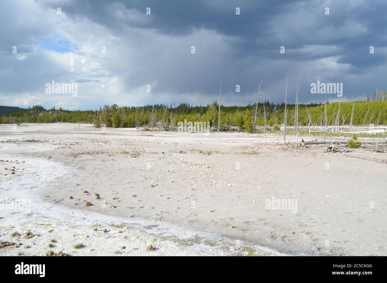 Printemps à Yellowstone : vue sur le affluent des lacs Grey du ruisseau Tantalus près de Porkchop Geyser dans la zone du bassin arrière du bassin de Norris Geyser Banque D'Images