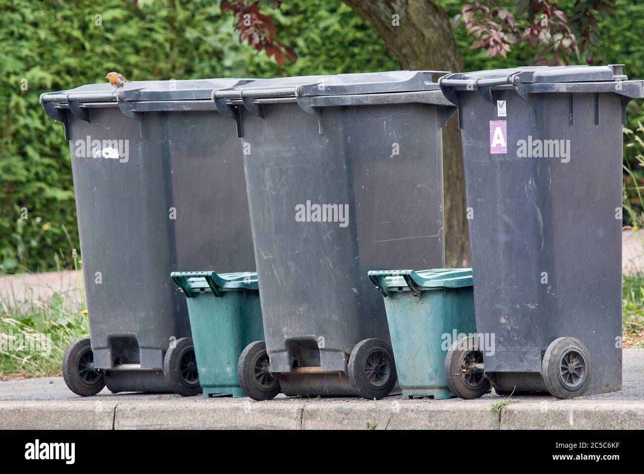 Bacs noirs avec déchets non recyclables, ainsi que bacs verts avec déchets alimentaires, placés sur le trottoir en attente de collecte pendant la journée hebdomadaire des bacs. Banque D'Images