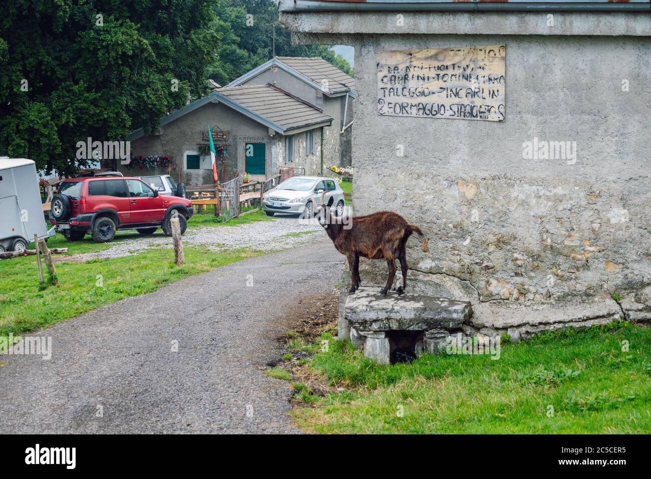 Chèvre alpin près de la vieille ferme dans les montagnes au-dessus du lac de Côme. L'agritourisme dans la région Lombardie, Italie. Banque D'Images