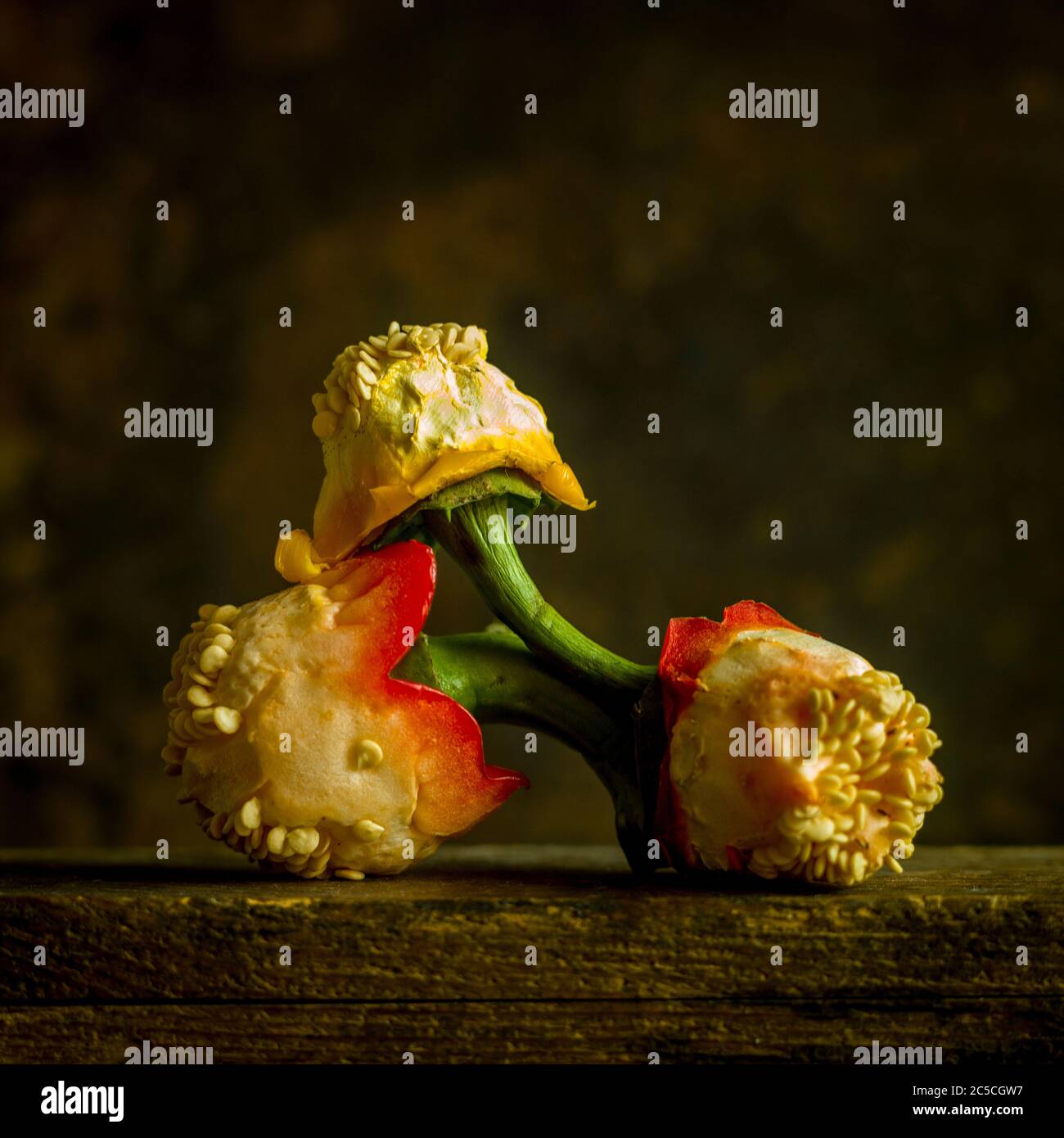 Gros plan des graines et de la queue des poivrons, prise studio, fond marron Banque D'Images