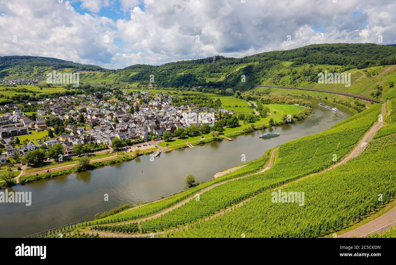 PŸnderich, Rhénanie-Palatinat, Allemagne - vignobles sur la Moselle. PŸnderich, Rheinland-Pfalz, Allemagne - Weinberge an der Mosel. Banque D'Images