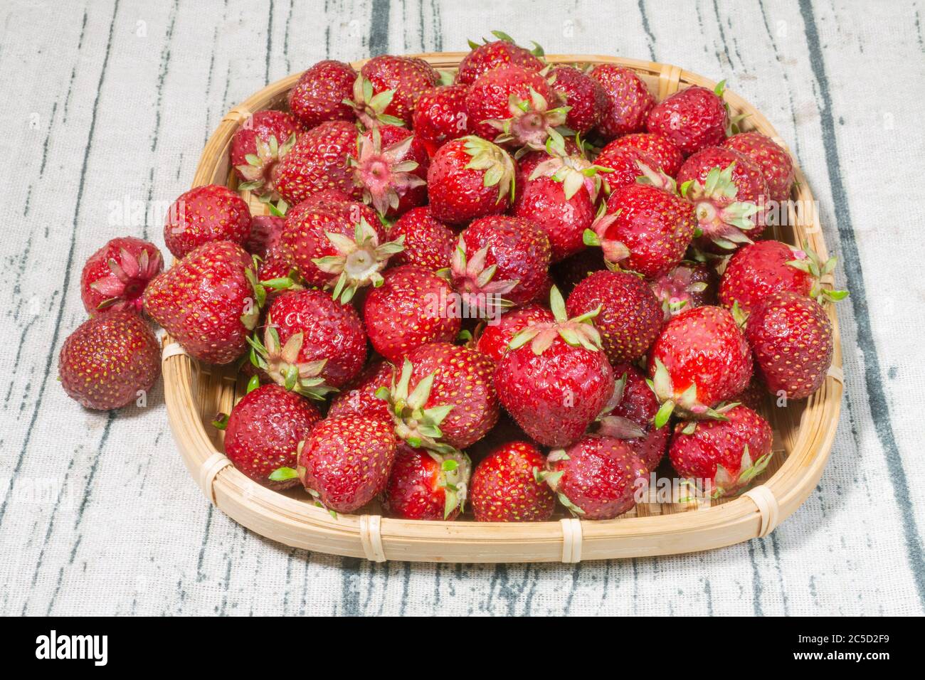 Fraises Polka rouges fraîches et mûres dans un plateau en osier Banque D'Images