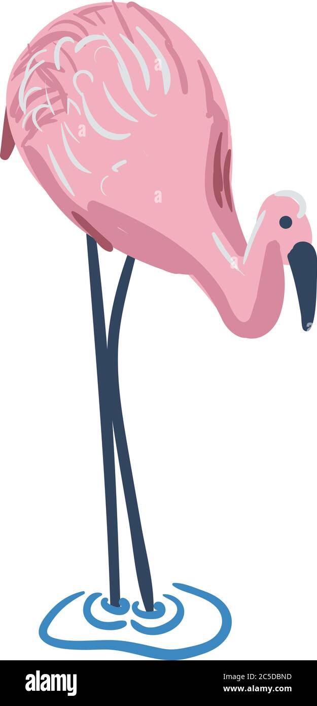 flamingo debout dans l'illustration de vecteur d'eau Illustration de Vecteur