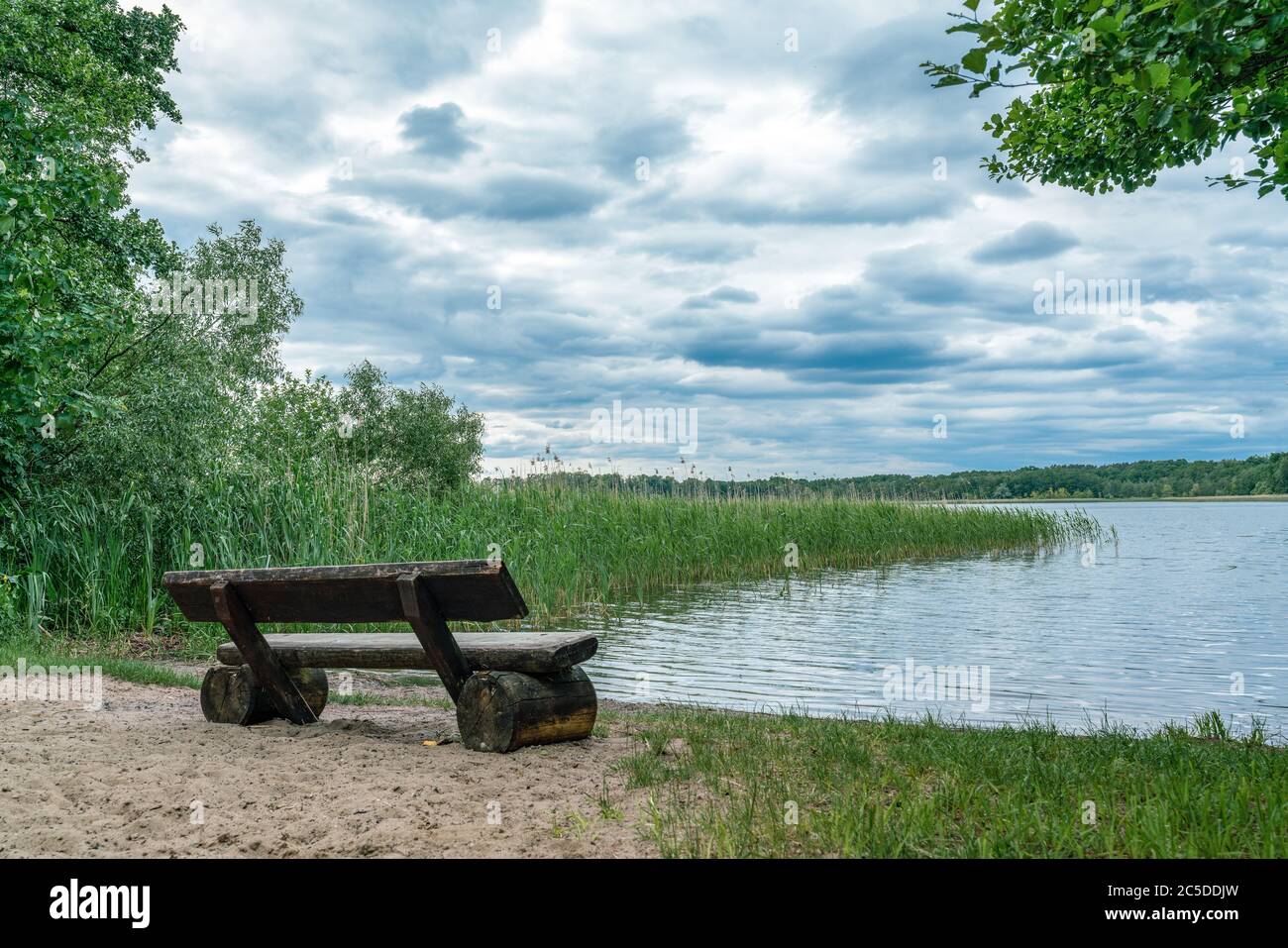 Scène tranquille avec un banc en bois surplombant le lac de Wutzsee à Lindow, Allemagne Banque D'Images