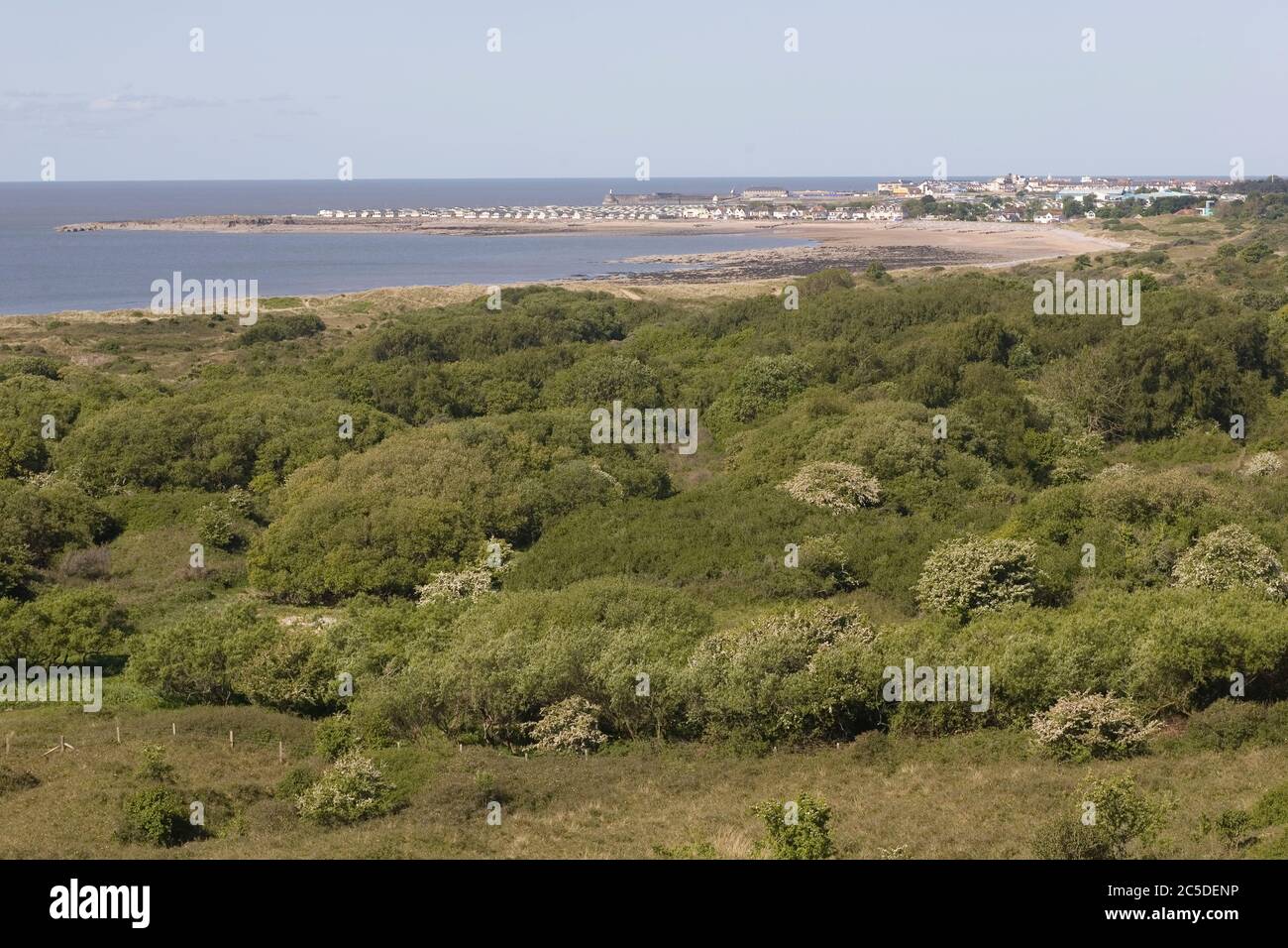 Vue de Merry Mawr warren réserve naturelle nationale de Newton Beach partie de la côte du patrimoine de Glamourgan avec Porthcawl à distance Banque D'Images