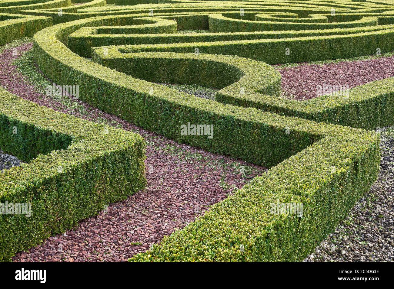 Château de Nordkirchen, Rhénanie-du-Nord-Westphalie, Allemagne. Buis ornemental dans le jardin baroque. Banque D'Images