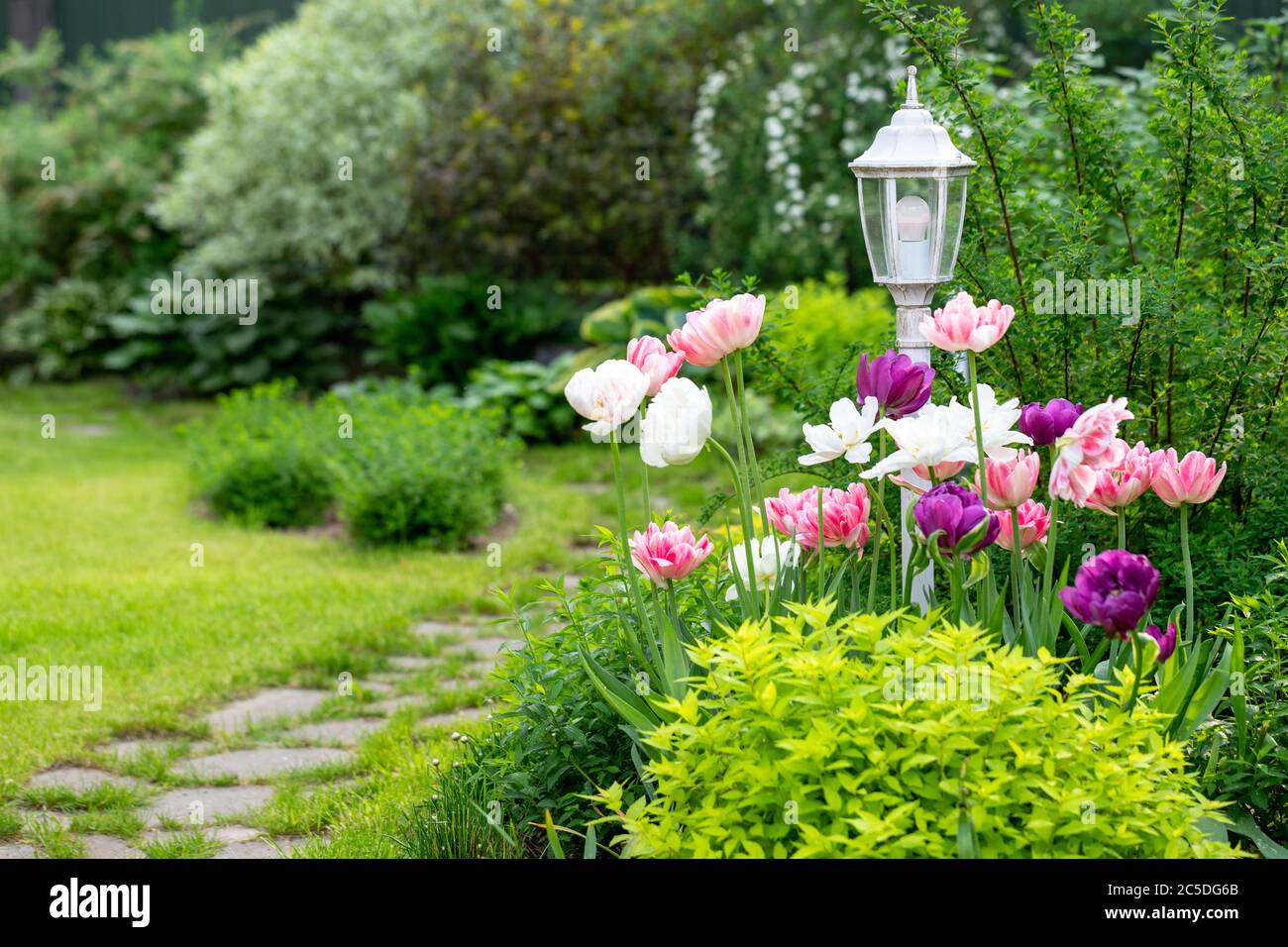 Lampe de jardin décorative vintage entourée de tulipes fleuris, d'herbe, de buissons, de passerelle en pierre. Jardin de la maison Banque D'Images