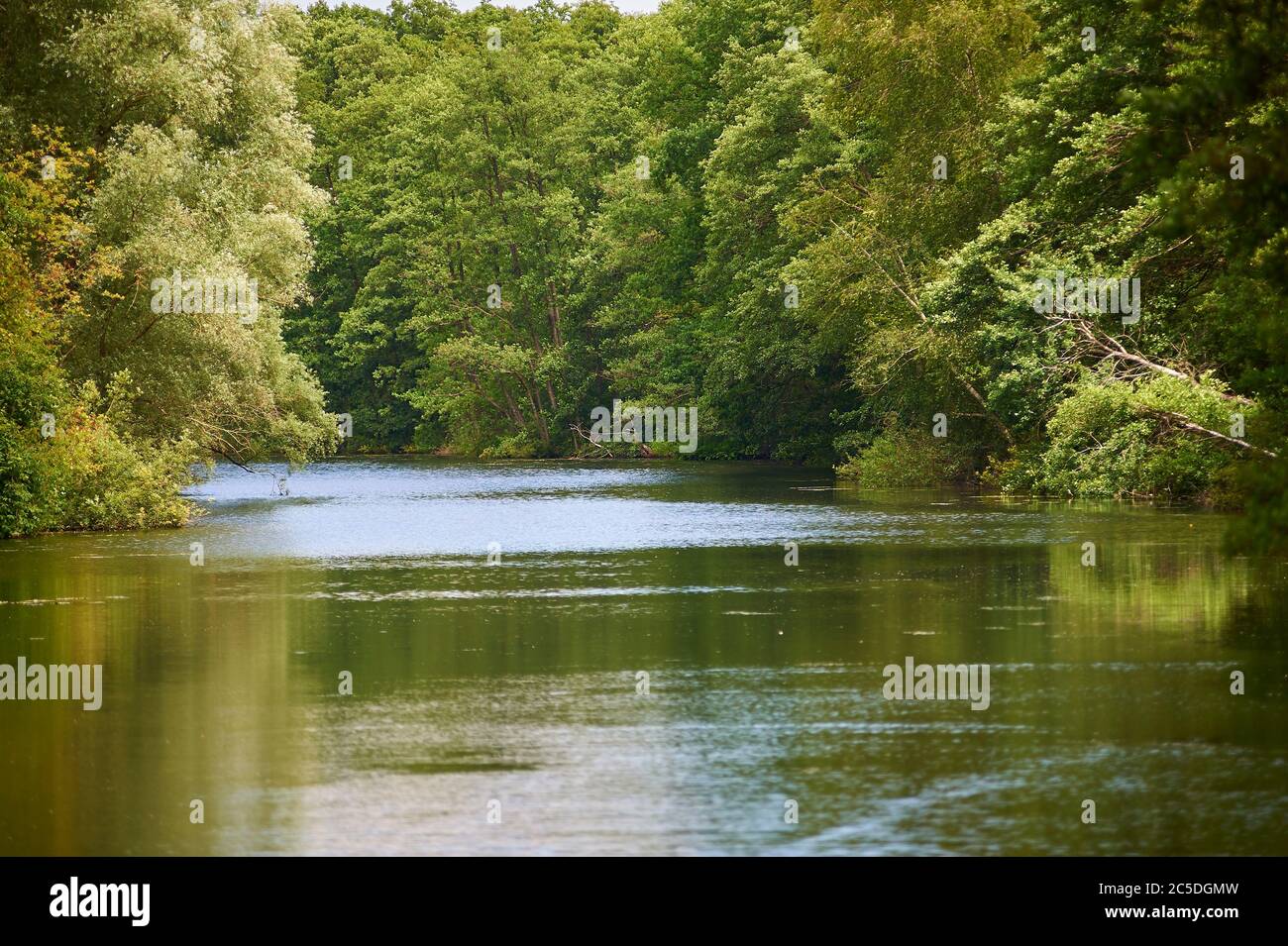 La rivière Wakenitz, également appelée Amazone du Nord, serpente du lac Ratzeburg à Lübeck, dans le nord de l'Allemagne Banque D'Images