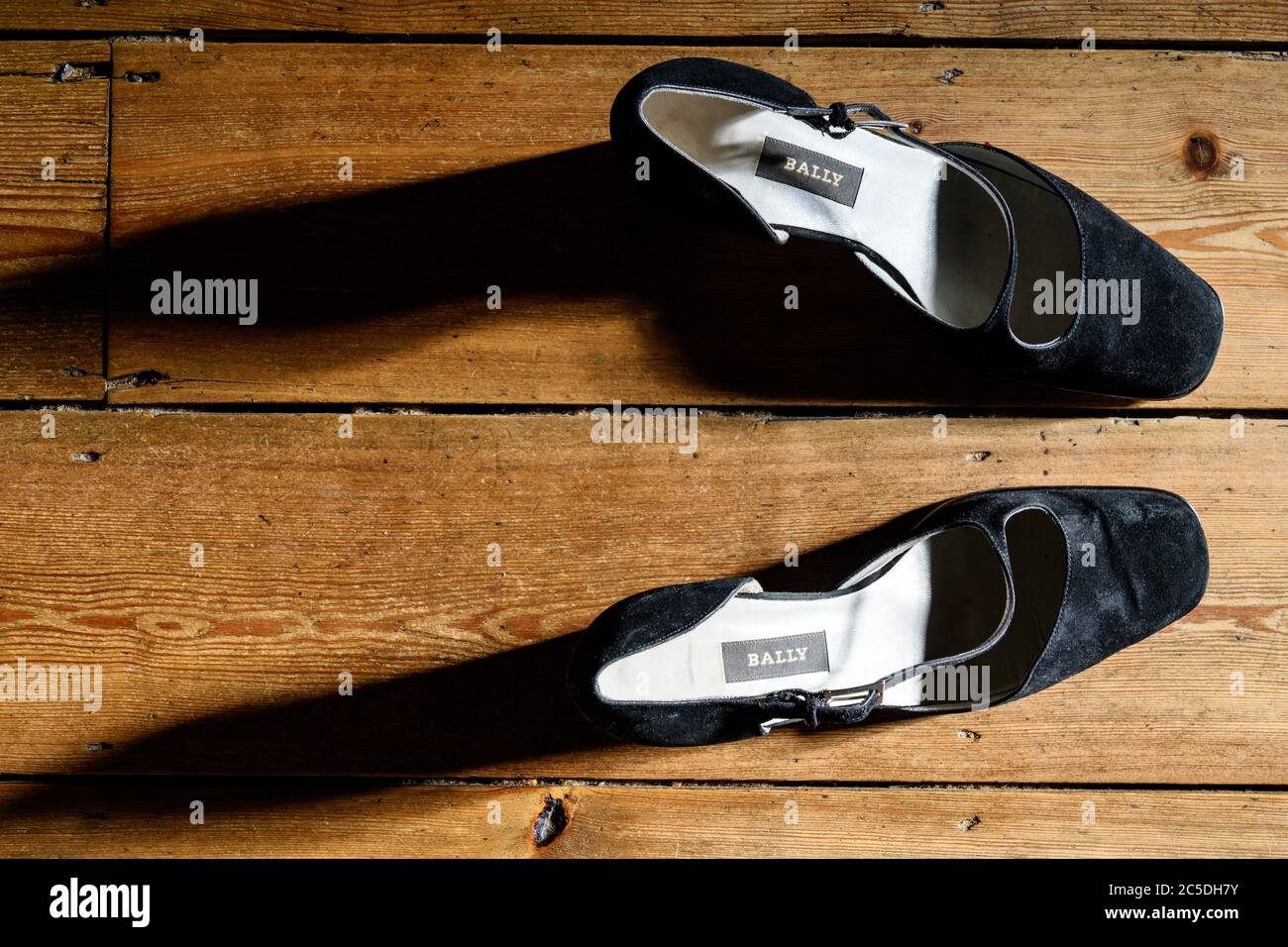 Daim noir Banque de photographies et d’images à haute résolution - Alamy
