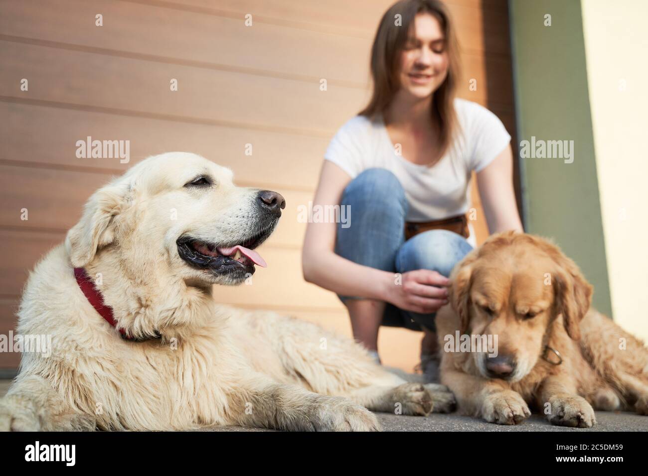 Femme en Jean bleu à côté de deux chiens dans la rue dans l'après-midi Banque D'Images