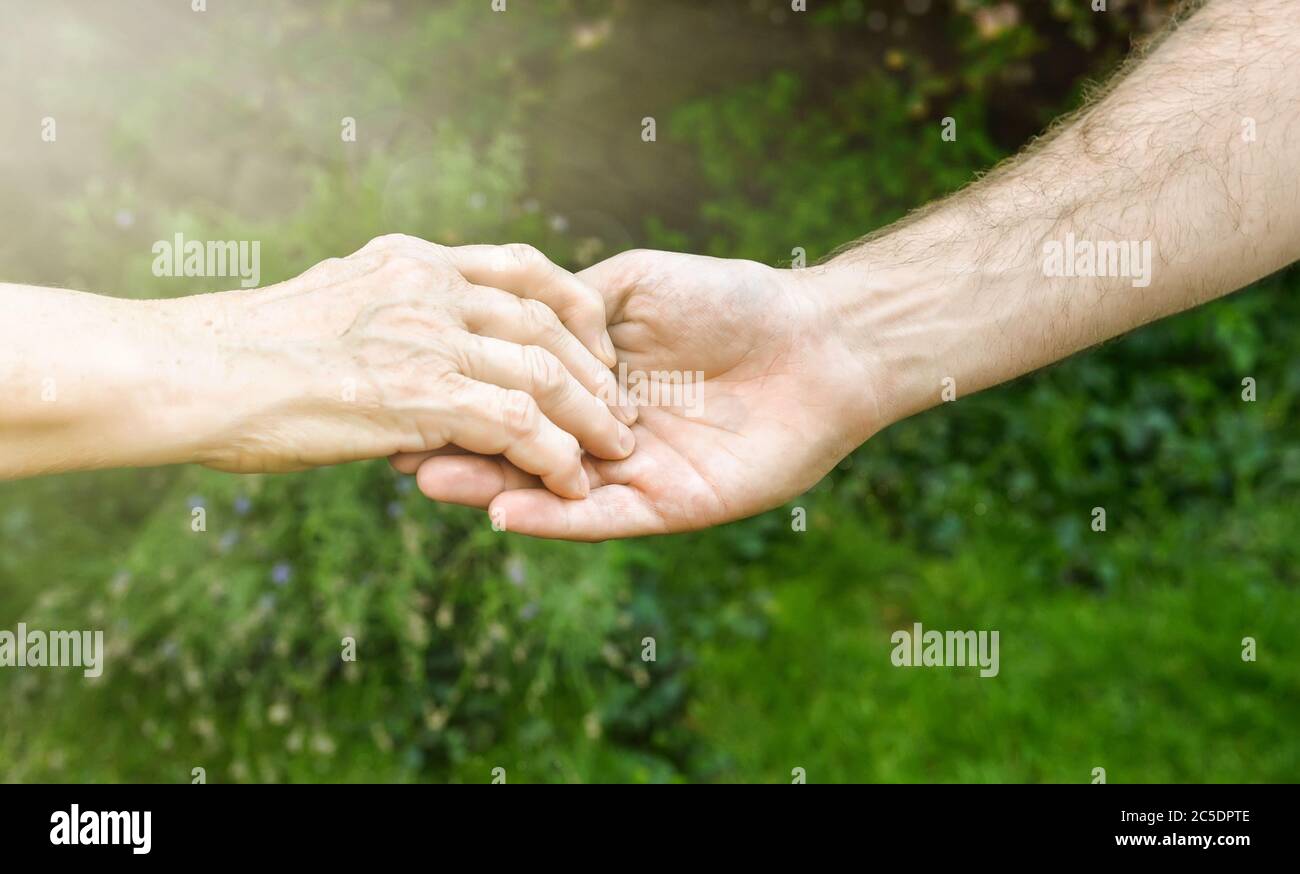 Les mains des aînés et des jeunes à l'extérieur. Femme âgée et jeune homme tenant les mains ensemble, fond vert flou, lumière du soleil. Amour, chaleur, prendre la voiture Banque D'Images