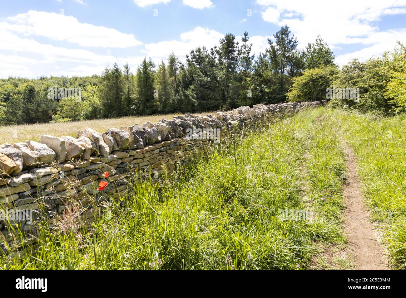 Campden Lane (une ancienne route de drovers) est maintenant une chaussée sur les collines Cotswold près du hameau de Farmcote, Gloucestershire Royaume-Uni Banque D'Images