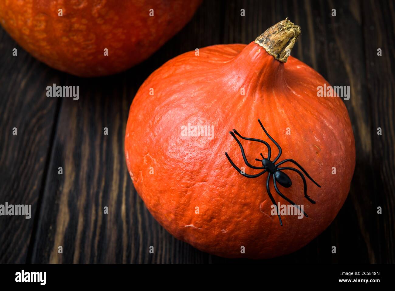 Arrière-plan de vacances d'Halloween avec citrouilles et araignée noire sur une table en bois sombre. Gros plan sur des citrouilles à vaisselle rouge naturelles sur des planches vintage pour Halloween Banque D'Images