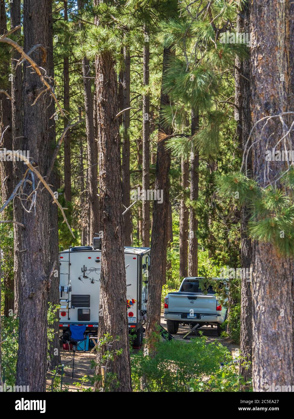 Remorque dans le terrain de camping principal, parc national de Mancos, Mancos, Colorado. Banque D'Images