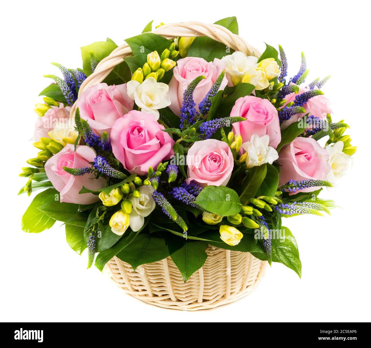 Roses roses naturelles dans un panier isolé sur fond blanc Banque D'Images