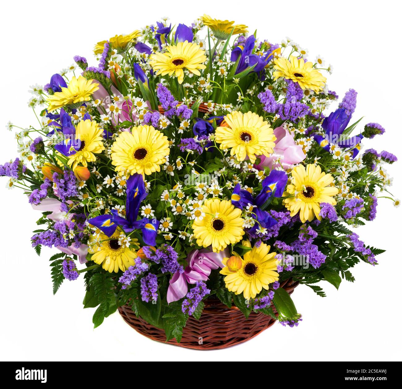Gerberas et iris naturels dans un panier isolé sur fond blanc Banque D'Images