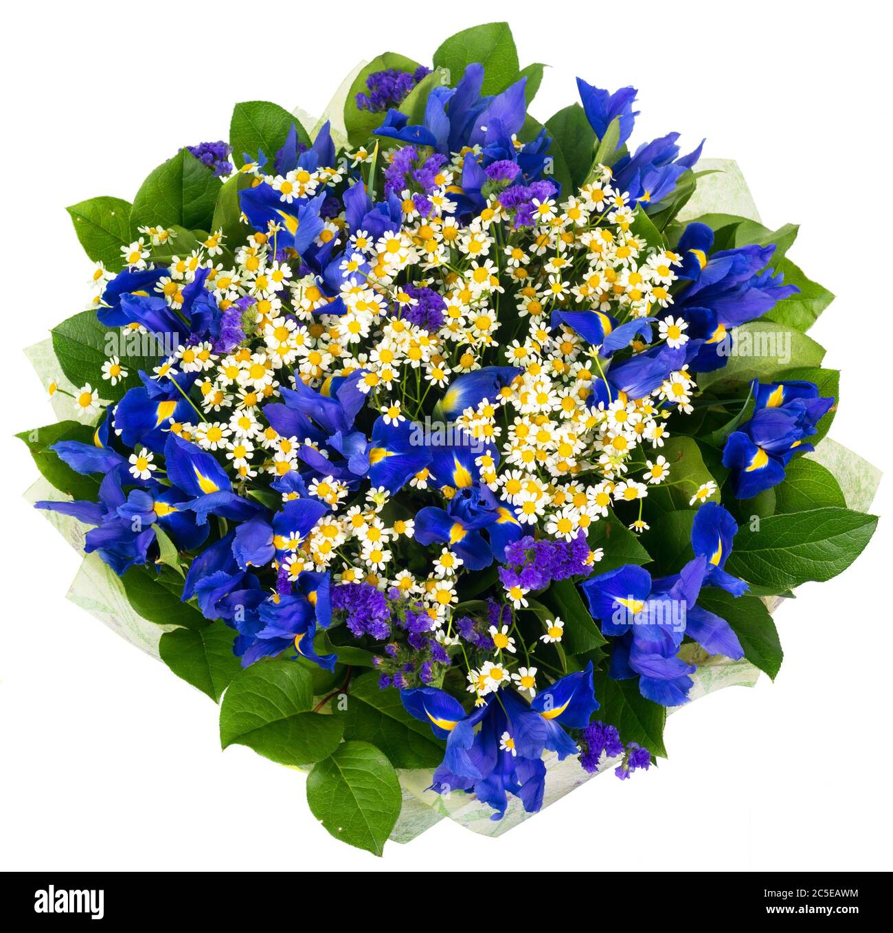 Bouquet d'iris et de pâquerettes isolées sur fond blanc Banque D'Images