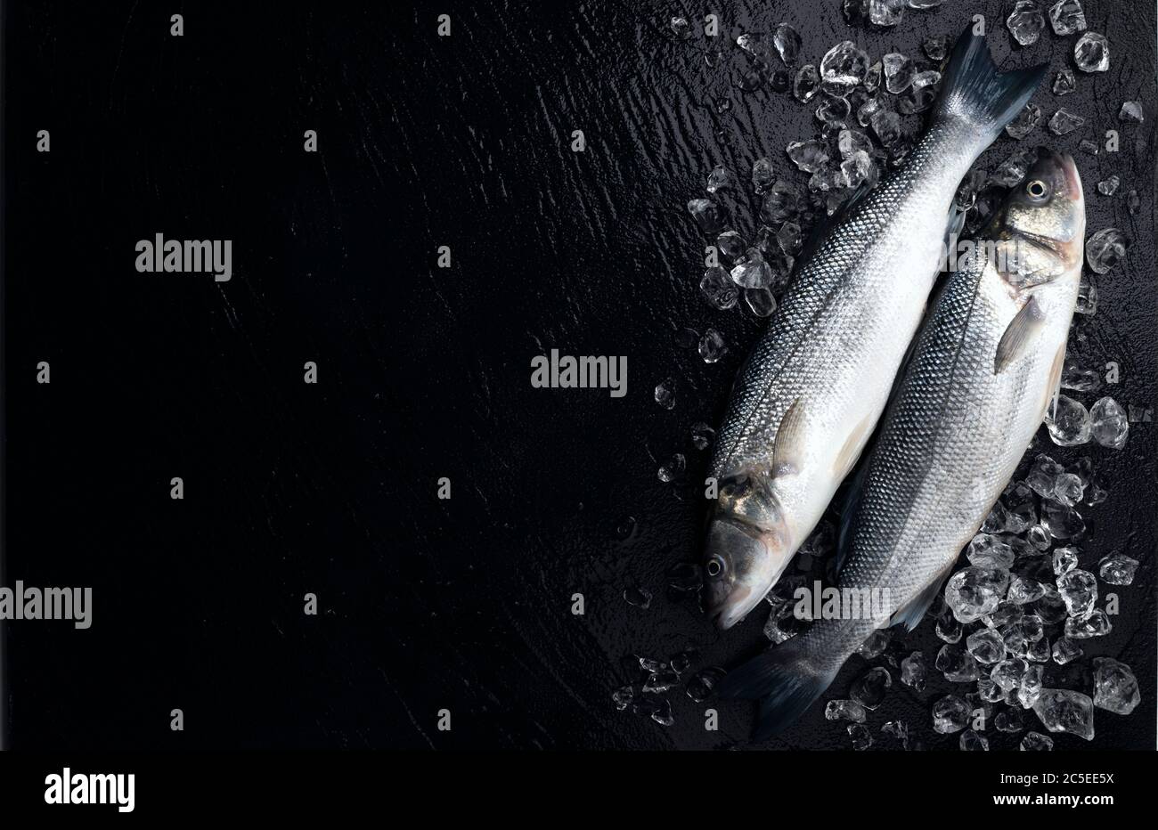 Poisson frais de mer sur glace sur fond noir Banque D'Images