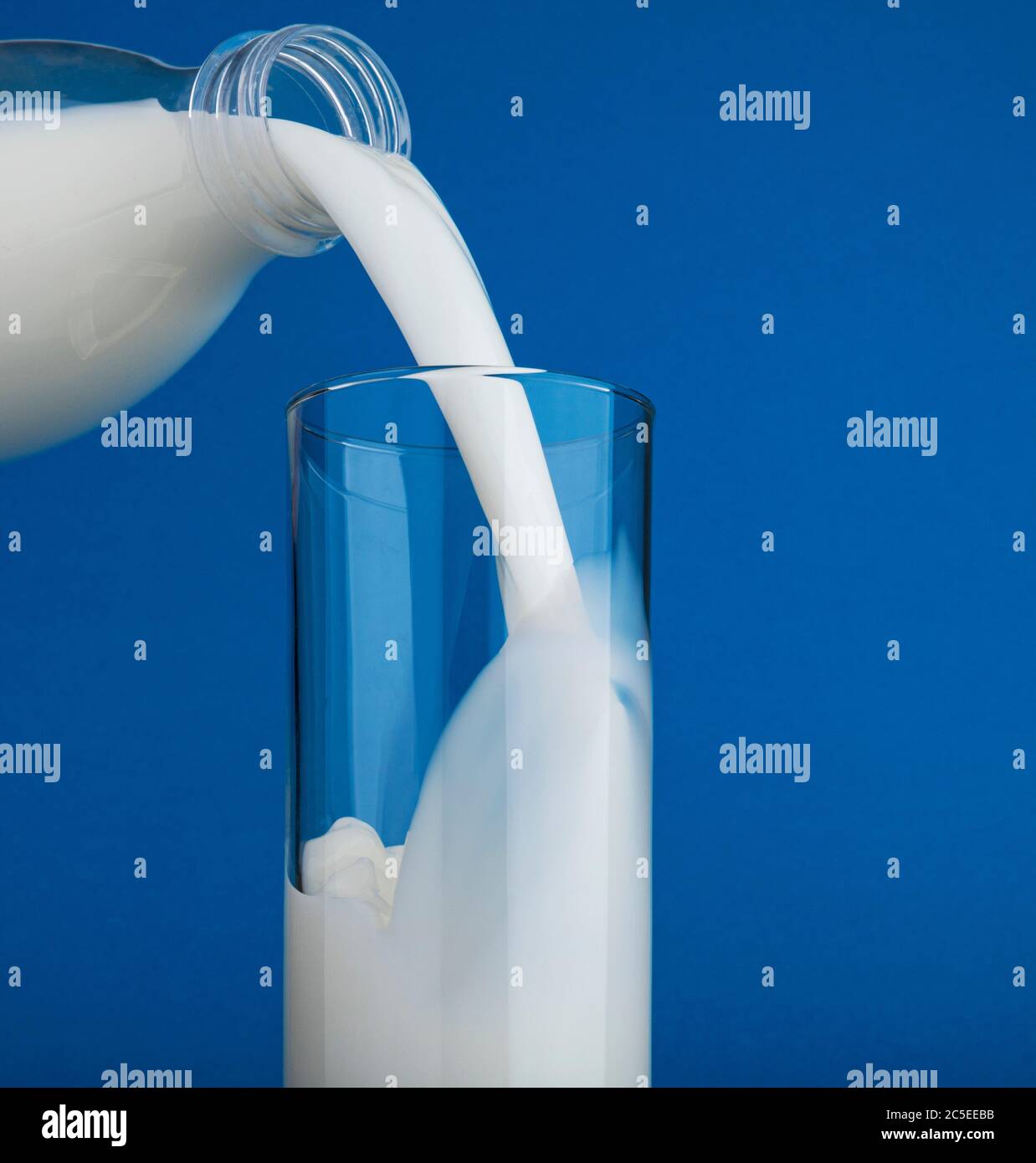 Verser du lait dans le verre isolé sur fond bleu Banque D'Images