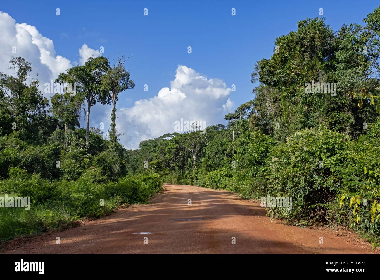 Linden-Lehem piste, route de terre rouge reliant Lehem et Georgetown à travers la jungle en Guyane, Amérique du Sud Banque D'Images