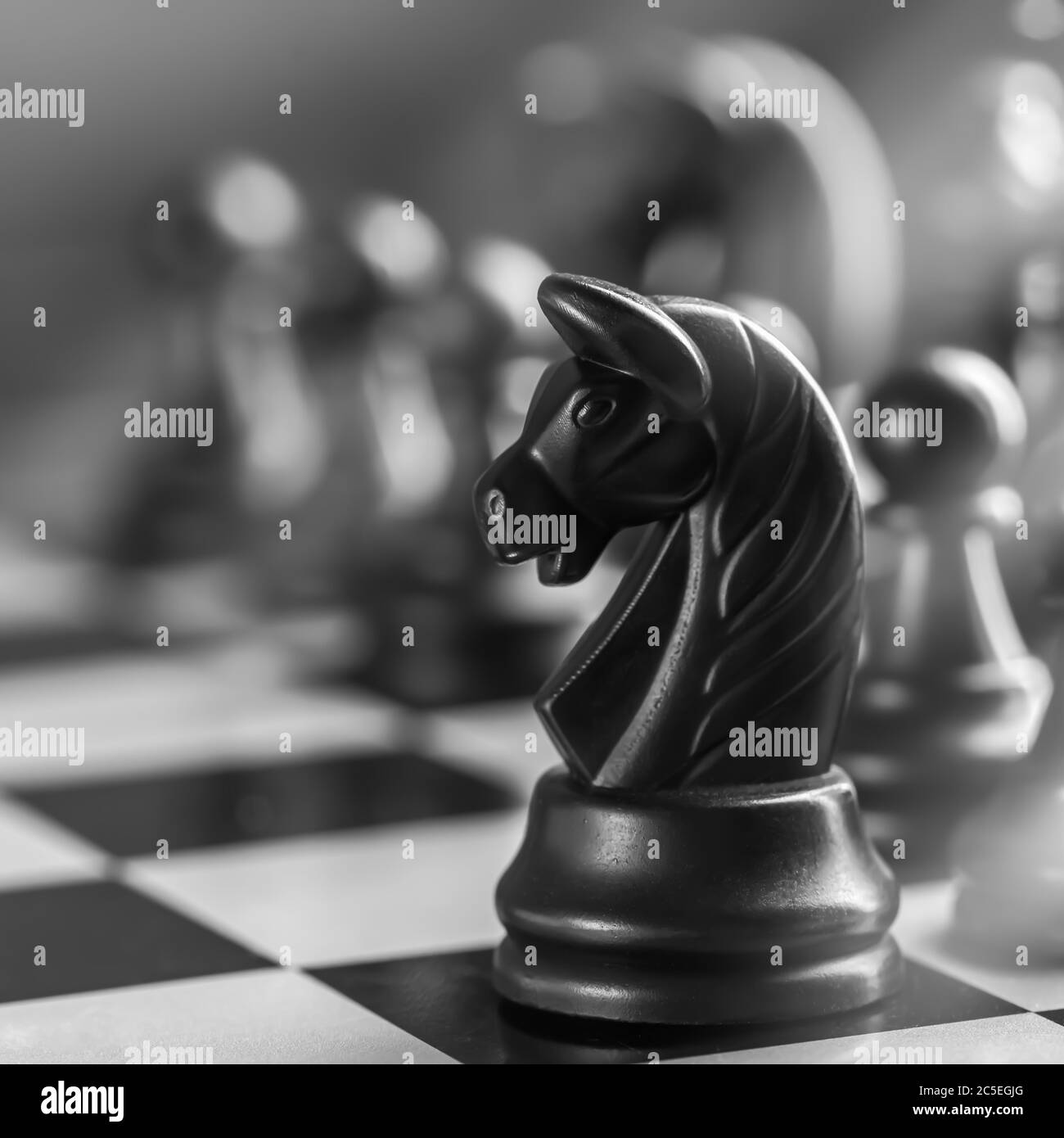 échecs noirs sur un échiquier. Cheval. Journée internationale des échecs Banque D'Images