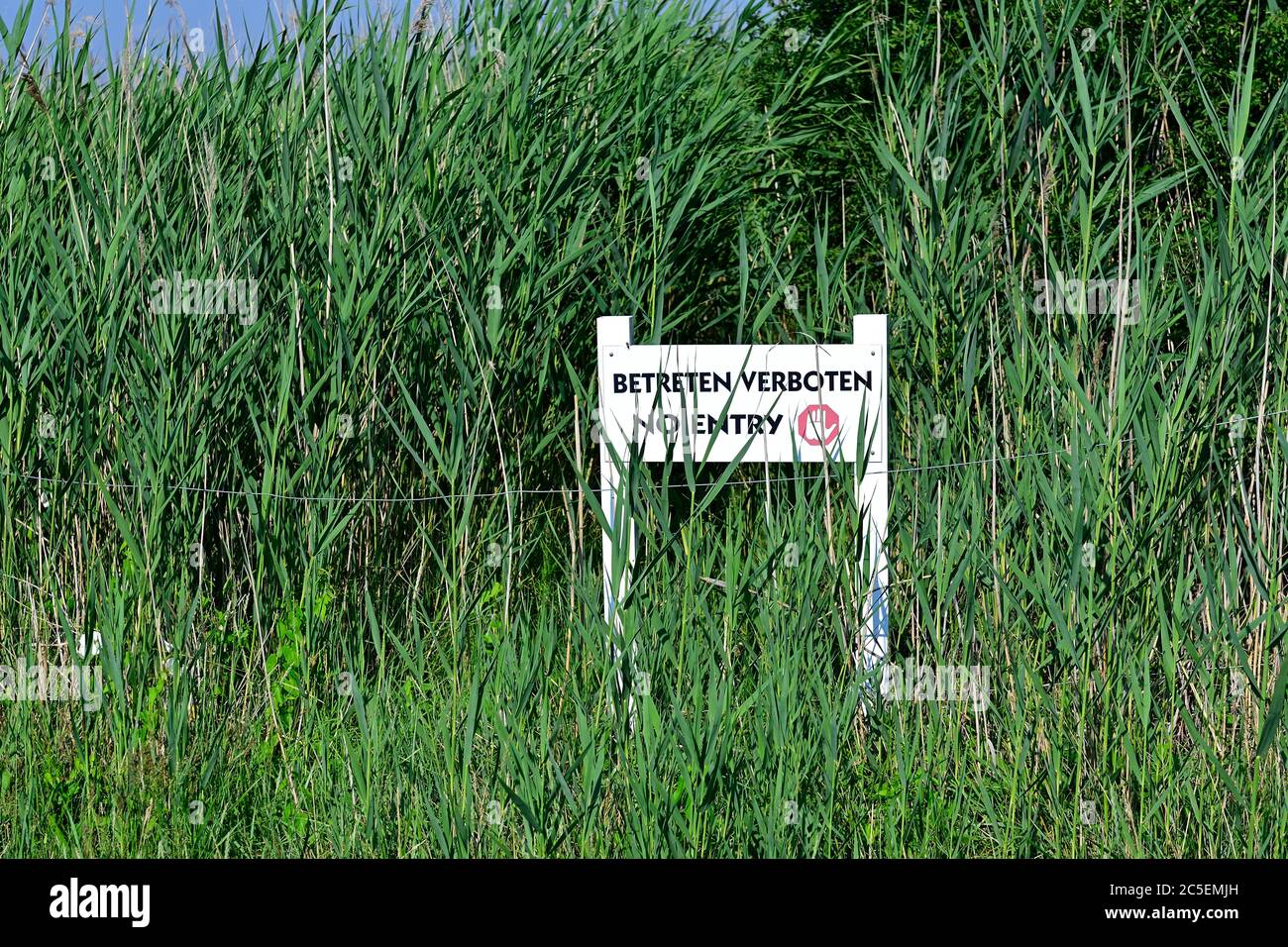 Illmitz, Burgenland, Autriche. Patrimoine mondial de l'UNESCO, paysage culturel Neusiedler See (lac Neusiedl). Banque D'Images