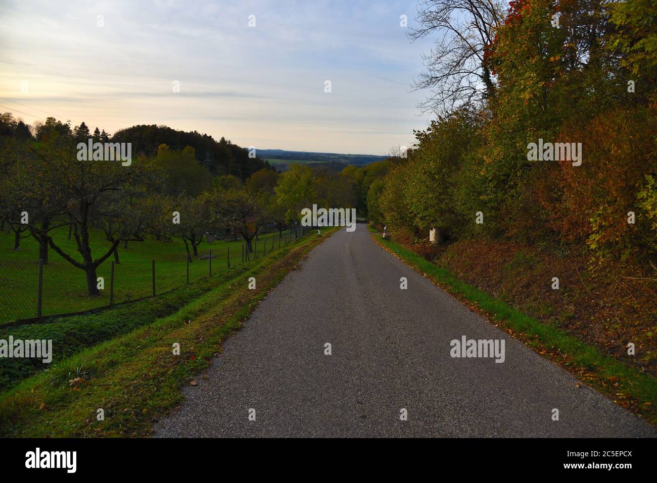 Marche le long d'un chemin dans les arbres de Meadows et d'automne, Silhouettes de colline avec les arbres de forêt à l'horizon, Alb de Souabe, Allemagne, Europe, soirée, Voyage. Banque D'Images