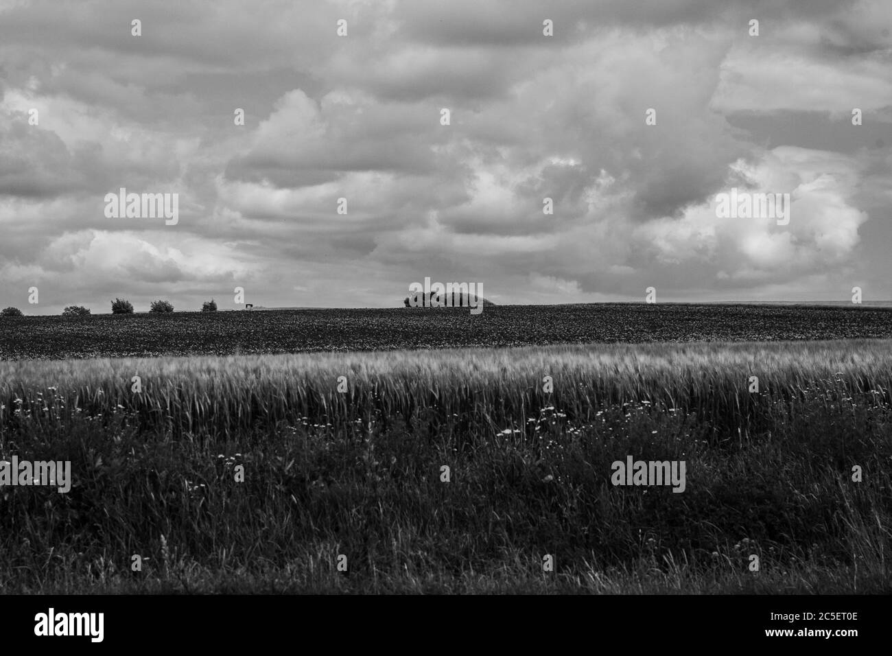 Une colline de Gallows : une église : l'histoire de Tullstorp. Posté par le Hans-Chr. Qté Photographe : Rita Segstedt et H.C. Qté Banque D'Images