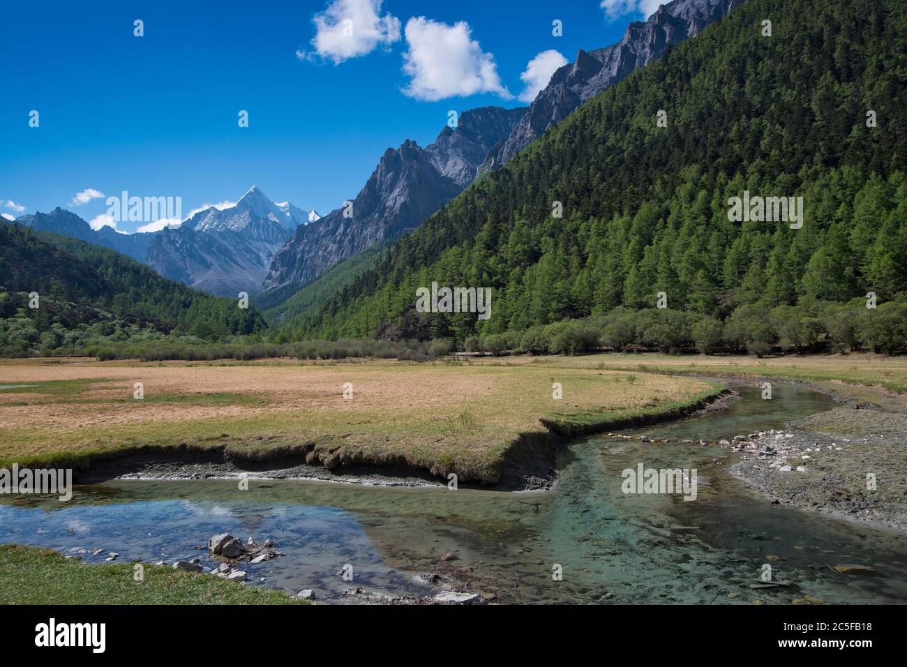 Mont sacré Jampelyang, 5958 m, Luorong Grassland, Pasture de Luorong, Parc national du Yading, Comté de Daocheng, Sichuan, Tibet oriental, Tibet, Chine Banque D'Images
