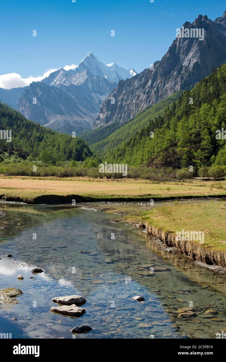 Mont sacré Jampelyang, 5958 m, Luorong Grassland, Pasture de Luorong, Parc national du Yading, Comté de Daocheng, Sichuan, Tibet oriental, Tibet, Chine Banque D'Images