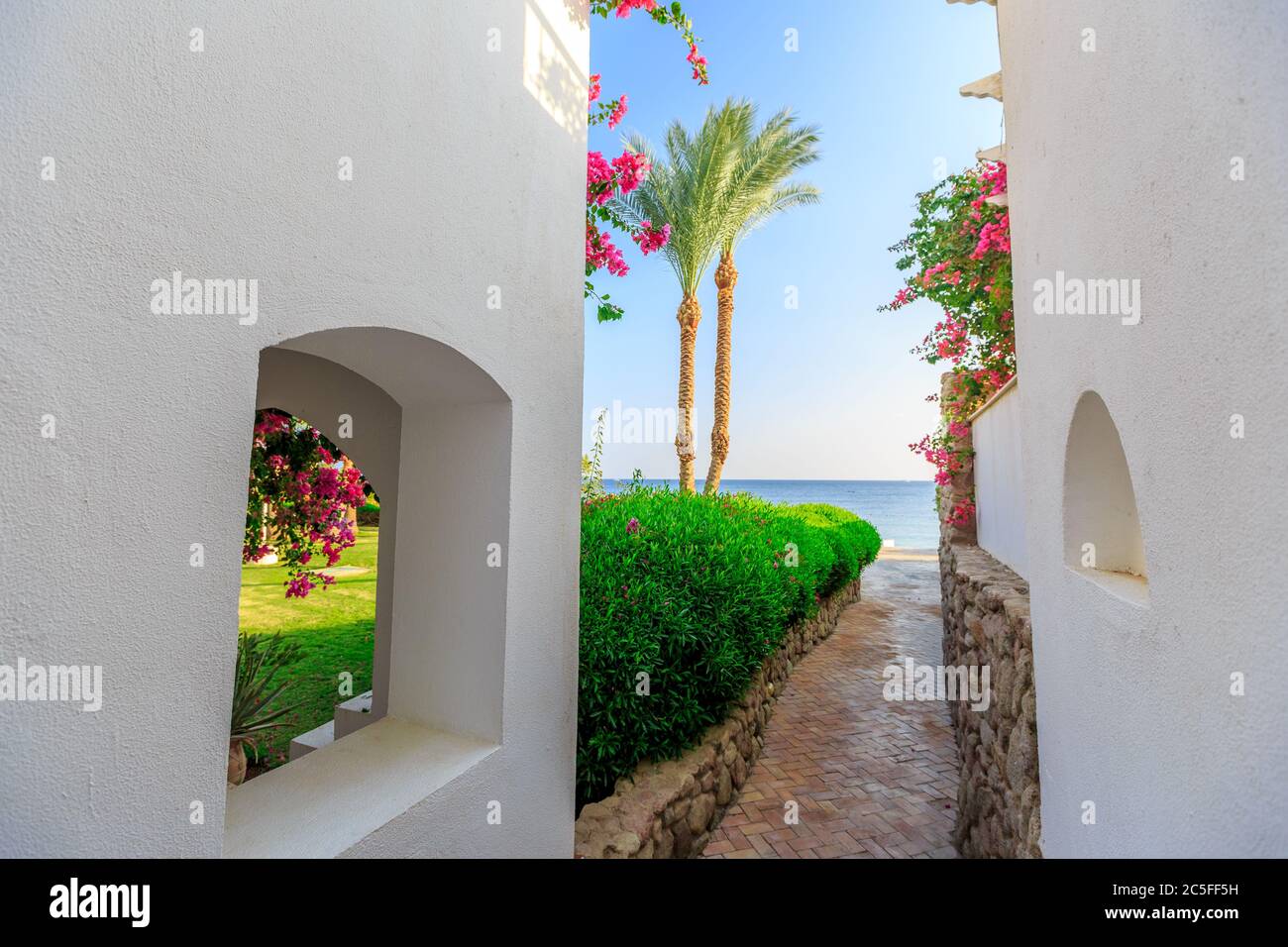 Appartements modernes blancs dans des pelouses soignées, Egypte Banque D'Images