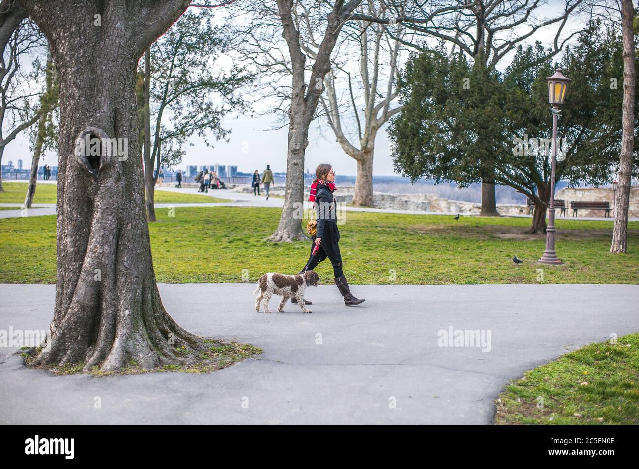 jeune femme qui prend son chien pour une promenade Banque D'Images