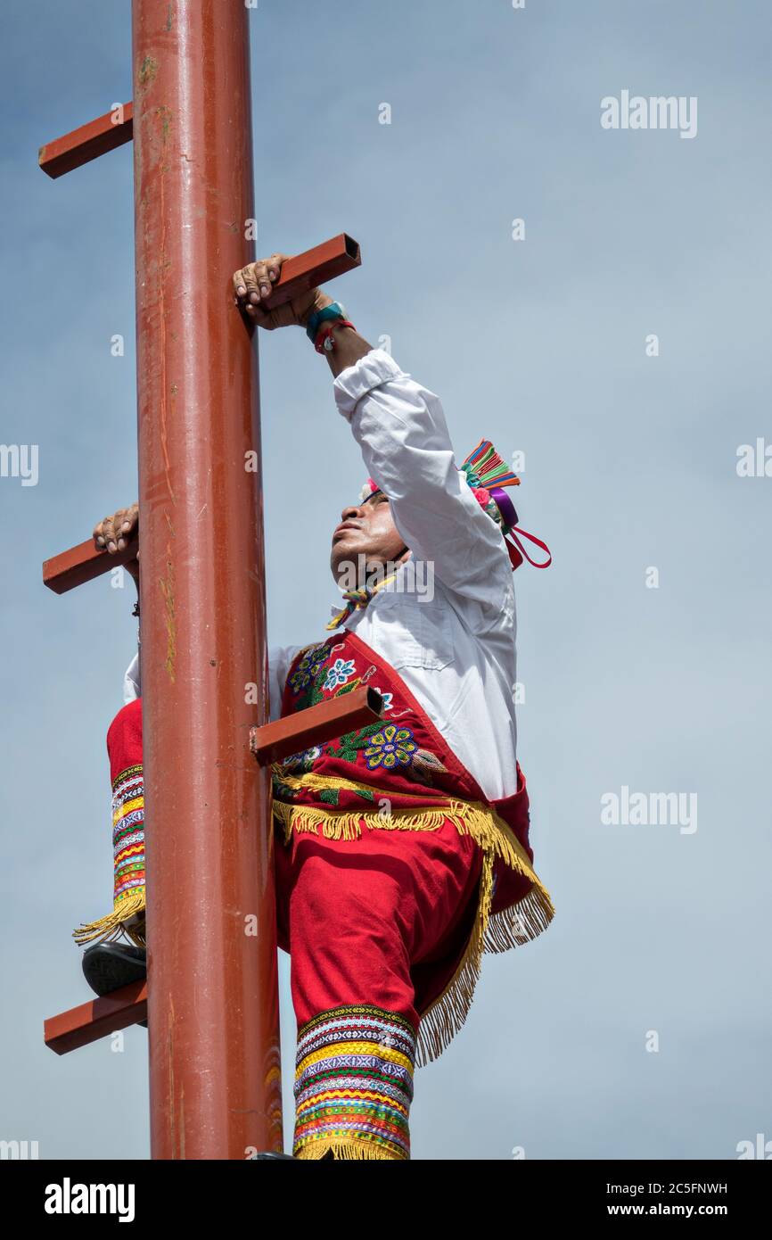 Les célèbres Voladores de Papantla, les Papantla Flyers, grimpent sur le pôle pour effectuer leur ancienne cérémonie méso-américaine dans le jardin Allende pendant la semaine de la fête du patron saint Michel à San Miguel de Allende, Mexique. Banque D'Images