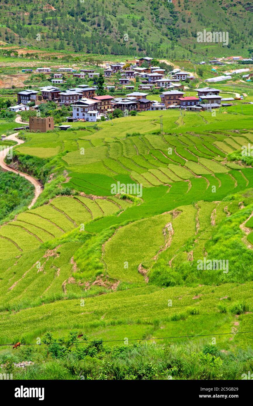 Le village de Chime Lhakhang dans la vallée du Mo Chhu Banque D'Images