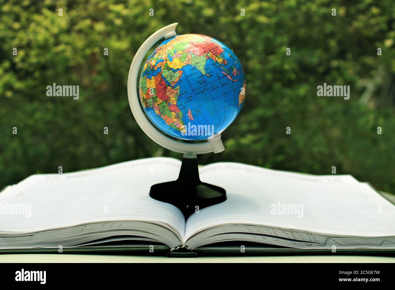 La Terre verte sur la page du journal. Globe terrestre avec feuilles vertes isolées sur fond de nature. Monde scolaire dans la nature. Banque D'Images