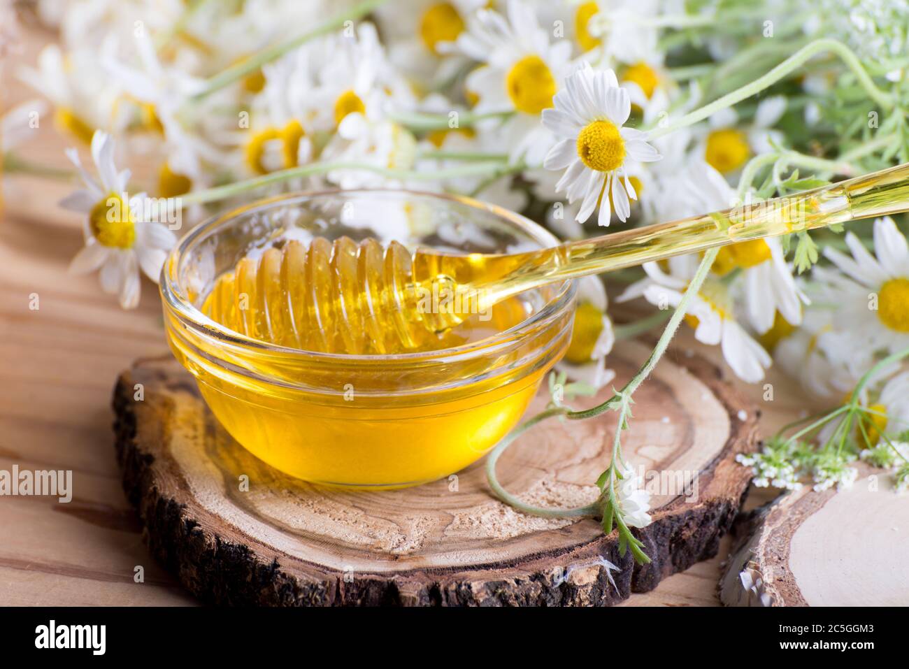 Miel de printemps doux dans le pot et petit bol en verre avec un balancier de miel. Composition de miel aromatique sur la table avec fleurs de camomille fraîches Banque D'Images
