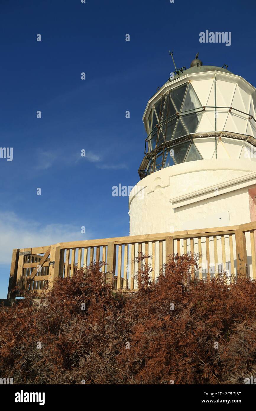 Vue rapprochée du phare de Nugget point dans le sud de l'Otago, Nouvelle-Zélande, montrant une nouvelle clôture Banque D'Images