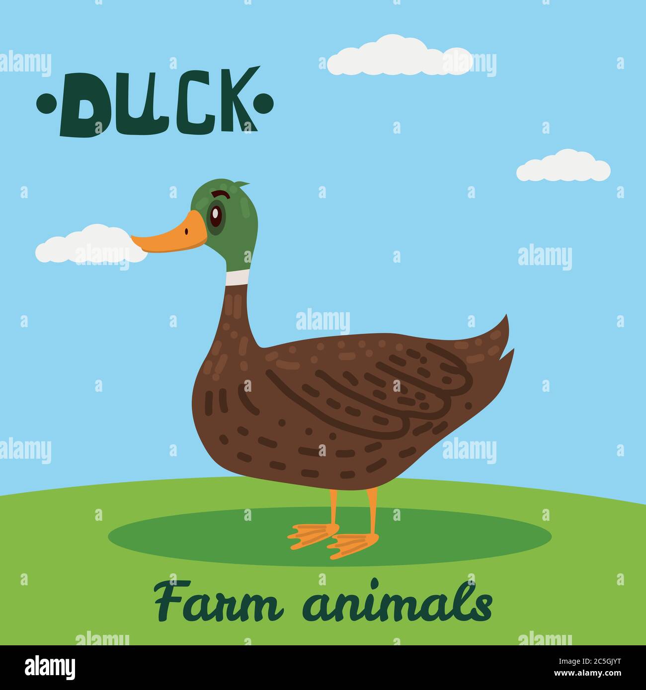 Mignon Duck animal de ferme caractère, animaux de ferme, illustration vectorielle sur fond de champ. Style de dessin animé, isolé Illustration de Vecteur